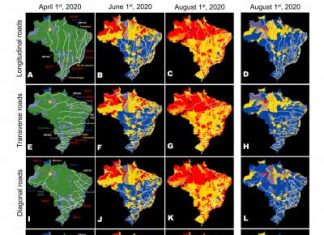 The paths through which COVID-19 spread across Brazil