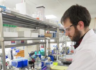 and Ichor Therapeutics Partner to Establish Biotechnology Cluster in North Country | Clarkson University – Clarkson University News