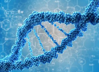 Biotechnology: Sculpting the future of Bio-Innovation in India – All India Radio