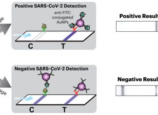Facemask Detects SARS-CoV-2 Using CRISPR-Based SHERLOCK Technology