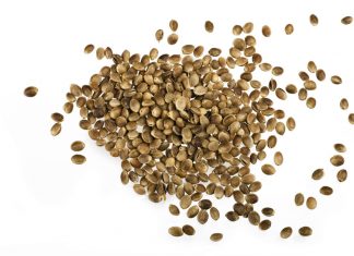 “Farmers are trapped in unsustainable cycle by biotechnology” – hortidaily.com