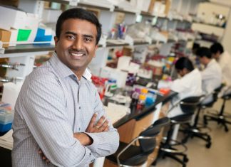 Nanomaterial Dimmer Switch Modulates Brain and Heart Cell Activity Using Near Infrared Light