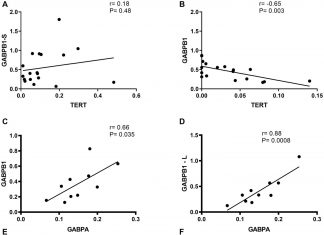 Oncotarget: TERT and its binding protein: overexpression of GABPA/B in gliomas