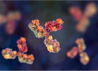 Rapid COVID-19 antibody detection with time‐resolved fluorescence immunoassay