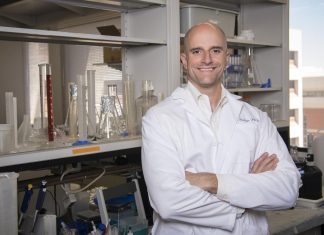 Study shows Cannabis terpenes provide pain relief, contribute to ‘entourage effect’