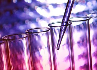 TG Therapeutics, Vir Biotechnology, and Two Other Undervalued Biotech Stocks – Barron’s