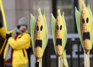 Viewpoint: Concerned about biodiversity but wary of biotechnology innovation to achieve it? Your fears are misplaced – Genetic Literacy Project