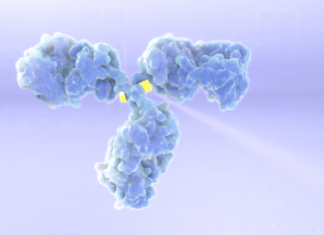 ADC Therapeutics: US$325m for ADC royalties – European Biotechnology News