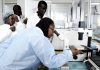 Biotechnology research and development is the cutting edge of Africa’s hoped-for sustainable green revolution – Genetic Literacy Project