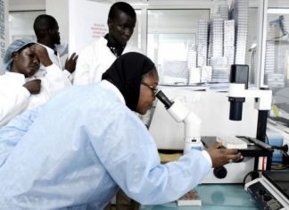 Biotechnology research and development is the cutting edge of Africa’s hoped-for sustainable green revolution – Genetic Literacy Project