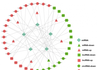 Liver Cancer Biomarker and Gene Signature Discovered in New Prognostic RNA Network