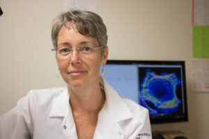 New Drug Corrects Diet-Induced Obesity by Keeping Mitochondria from Fragmenting