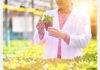 Agricultural biotechnology center being built in Almeria – hortidaily.com