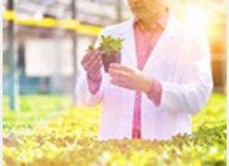 Agricultural biotechnology center being built in Almeria – hortidaily.com