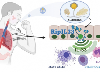 Allergies? Blame the Ripoptosome, an Allergen-Sensing “Platform”