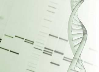 Breakthrough study could lead to much needed therapies for Huntington’s disease