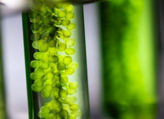DOD Funds HBCUs to Advance Biotechnology and Materials Science Research – Nextgov