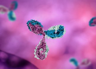 Increased infectivity and immune evasion drive the spread of Delta SARS-CoV-2 variant
