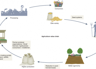 Rapid delivery systems for future food security – Nature.com