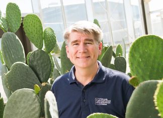 Research aims to increase crop drought tolerance using biotechnology – Nevada Today
