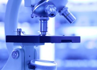 Research project focusing on membraneless organelles receives funding from Volkswagen Foundation