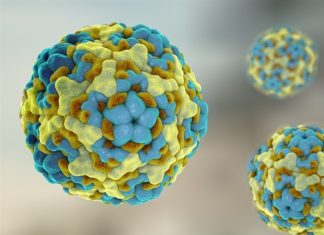 Enterovirus 71 vaccine candidate strains exhibit good immunogenicity and cross-neutralization activity