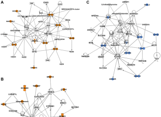 Oncotarget: Epigenetic signatures differentiate uterine/soft tissue leiomyosarcoma