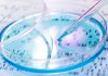 Vilsack working with FDA on animal biotechnology – Farm Progress