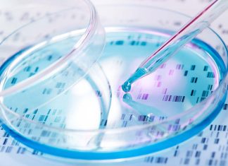 Vilsack working with FDA on animal biotechnology – Farm Progress