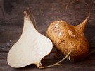 Biotechnology is increasing yields of African yam bean – FreshPlaza.com