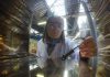 Is Bioengineering Right for You?