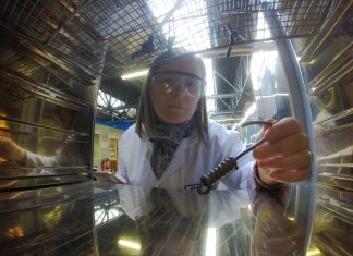 Is Bioengineering Right for You?