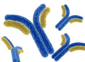 SARS-CoV-2 breakthrough infections elicit potent neutralizing antibody responses