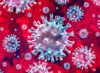Study demonstrates differential alternative splicing in betacoronaviruses