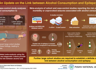 The link between alcohol consumption and epilepsy: An update from scientists from Pusan National University