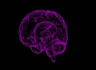 Biotechnology company attemps to reverse the state of brain death. – The Statesman