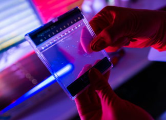 COVID-19 genetic risk variant protects against HIV
