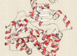 Ingenza collaborates with Johnson Matthey for efficient industrial enzyme synthesis