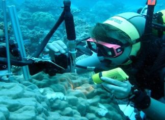 Marine biotechnology nascent, growing in Iran – Tehran Times