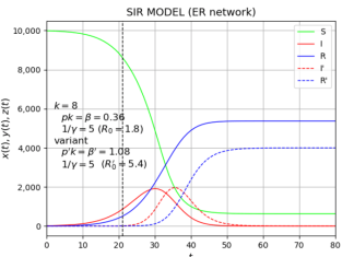 Network models may help us understand the spread of new variants in a pandemic