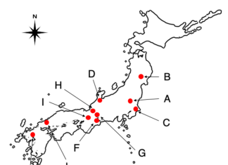 New simple method for surveying amphibians: A vital contribution to conservation efforts