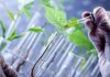 Over 550 scientists returned to India to pursue research in biotechnology: Centre – India Today
