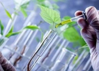 Over 550 scientists returned to India to pursue research in biotechnology: Centre – India Today