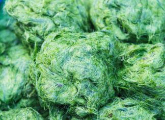 Algal metabolites as novel drugs against viruses