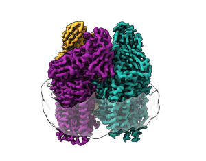 Bacterial Enzyme That Converts Methane to Methanol Structurally Defined