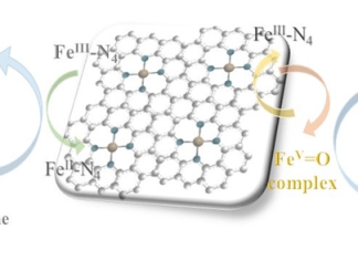 Breaking down how “single-atom” catalysts help remove organic pollutants
