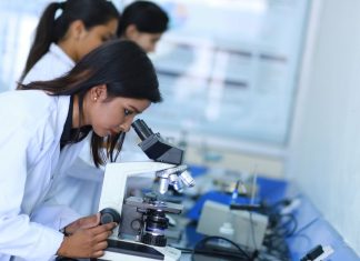 BTech in Biotechnology – The Tribune India
