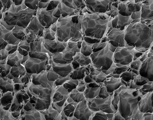 Implants Speed CAR T Cell Processing In Vivo, Treating Lymphoma in Mice