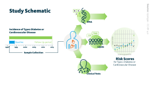 Lipid Profiling Predicts Risk of Diabetes, CVD Decades Before Onset