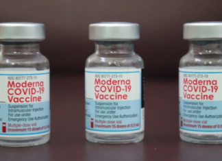 mRNA for Africa – European Biotechnology News